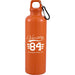 Race 25oz  Recycled Bottle with Carabiner