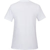 American Giant Classic Cotton V-Neck T - Women's