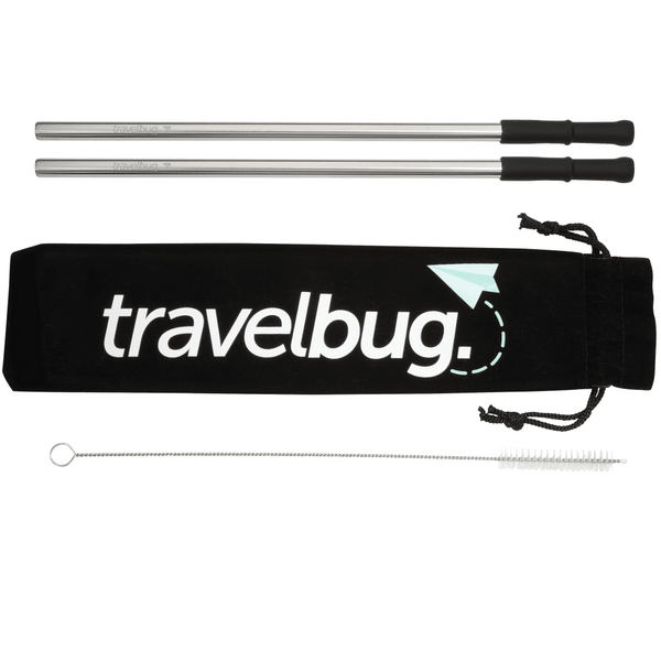 Reusable Stainless steel Straw Set with Brush