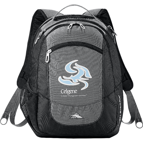 High Sierra Fly-By 17