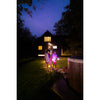 BioLite Alpenglow 250