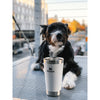Stanley Stay-Chill Stacking Pint 16oz