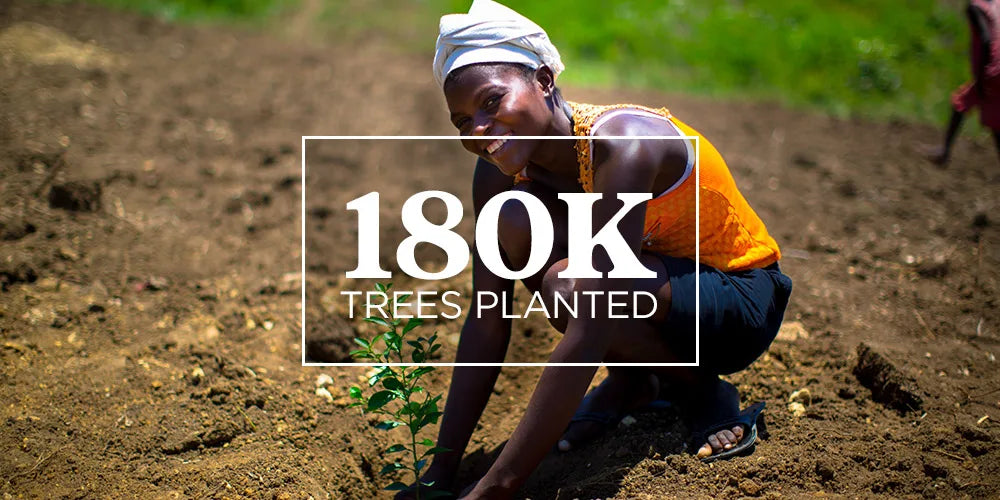 180k trees planted