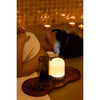 Wellable™ Ambient Light Humidifier