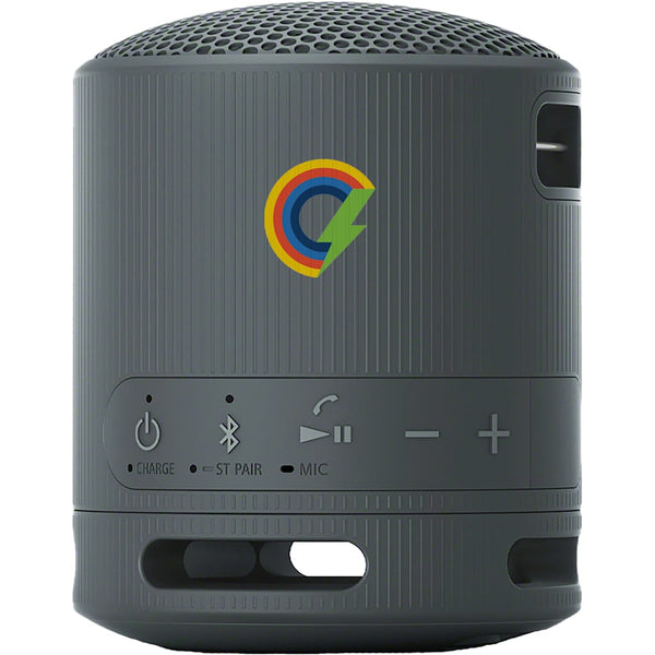 Sony SRS-XB100 Bluetooth Speaker
