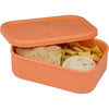 Silicone Food Storage Box with Air Valve 24oz