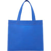 Mini Non Woven Heat Sealed Tote