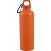 Race 25oz  Recycled Bottle with Carabiner