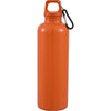 Race 25oz  Recycled Bottle with Carabiner