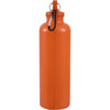 Race 25oz  Recycled Bottle with Carabiner