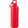 Race 25oz  Recycled Bottle with Carabiner