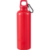 Race 25oz  Recycled Bottle with Carabiner