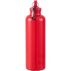 Race 25oz  Recycled Bottle with Carabiner