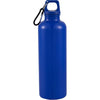 Race 25oz  Recycled Bottle with Carabiner