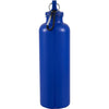 Race 25oz  Recycled Bottle with Carabiner