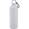 Race 25oz  Recycled Bottle with Carabiner