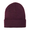 Wolverine Knit Watch Beanie