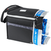 Arctic Zone® 24 Can Ice Wall™ Cooler Cooler Bags Bags, Cooler Bags, sku-3860-47 Arctic Zone