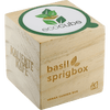 Sprigbox Basil Grow Kit Grow Kits Grow Kits, Home & DIY, sku-5000-01 Sprigbox