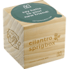 Sprigbox Cilantro Grow Kit Grow Kits Grow Kits, Home & DIY, sku-5000-02 Sprigbox